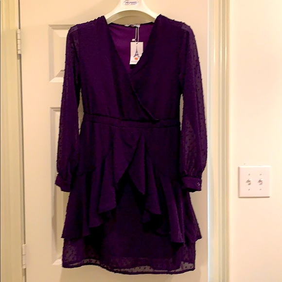 NWT Swiss Dot Purple Dress        Size: Medium - Picture 5 of 13